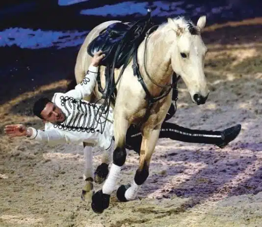 Quelles sont les équipements présentés à Cheval Passion